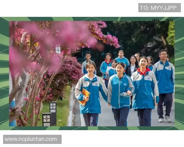 从零起步掌握乒乓球技巧与意识的全面指南与实战经验分享