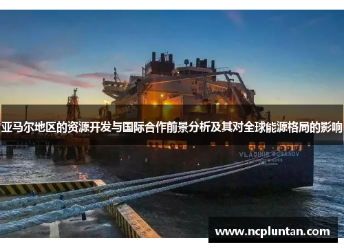 亚马尔地区的资源开发与国际合作前景分析及其对全球能源格局的影响