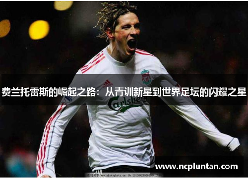 费兰托雷斯的崛起之路：从青训新星到世界足坛的闪耀之星